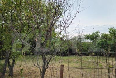 Teren extravilan 17524 mp, expunere sudica, Viforata - 16