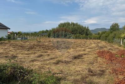 De vanzare Teren intravilan in Busag, ideal pentru casa ta! De vanzare Teren intravilan in Busag, ideal pentru casa ta! - 13