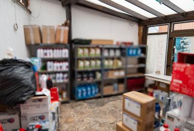 INVESTITIE - Vanzare vila finalizata S+P+2E+M, zona Doamna Ghica - 36