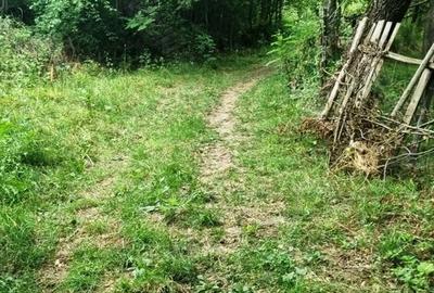 Teren de 5700 mp, în Central - 4