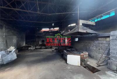Spațiu comercial, de 354 mp, în Crișan - 4