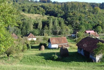 Teren agricol intravilan de 14368 mp, în Valea Bradului - 8