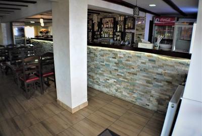 Hotel/Pensiune, de 10 mp, în Nicolae Bălcescu - 9