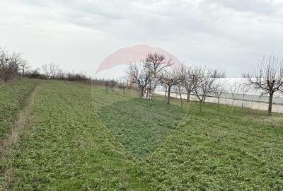 Teren 1944 mp + Casa - 65 mp, Darasti-Vlasca Giurgiu/ 20 ... - 2