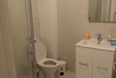 Garsoniera de inchiriat - 3