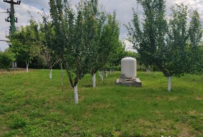 Casă cu 4 camere cu Teren 4800 Mp în Central - 12