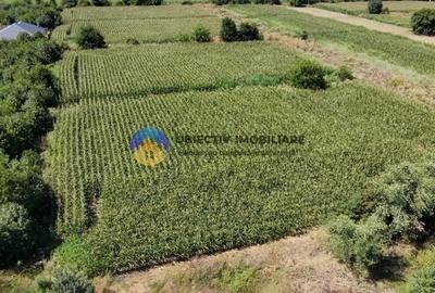 Teren de 3866 mp, în Izvoare (Dumbrava Roșie) - 3