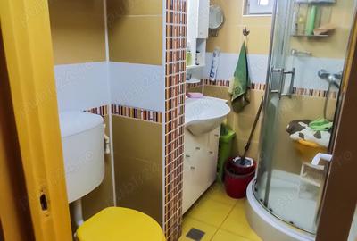 Apartament 2 camere Zona Stadion, Parcul Crang - 9