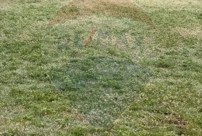 Spațiu comercial, în Partoș - 2