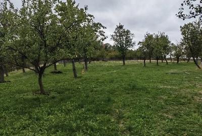 Spațiu comercial, în Central - 6