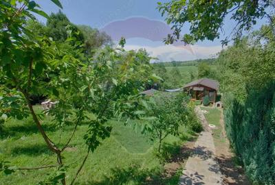 Casa / Vila cu 4 camere de vanzare - 2