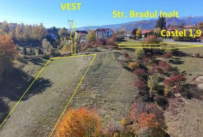 Teren 2,500mp Bran / Strada Bradul Inalt - 5