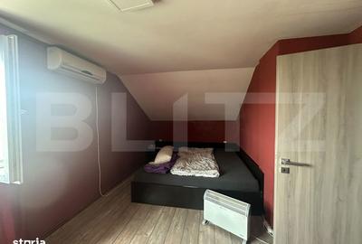 Casă cu 10 camere cu Teren 2626 Mp în Terebești - 5