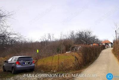 Teren de 350 mp, în Vlădești - 7