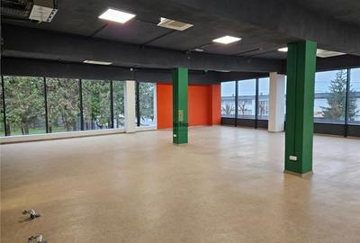 Spatii Birouri - 200 mp - zona Industriala Est - 8