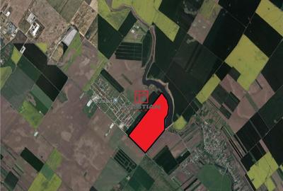 Teren Popesti Leordeni - Glina - DN4, Ilfov - 2