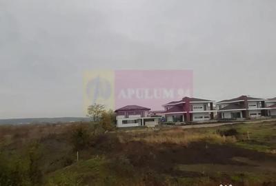 Teren de 5000 mp, în Corbeanca