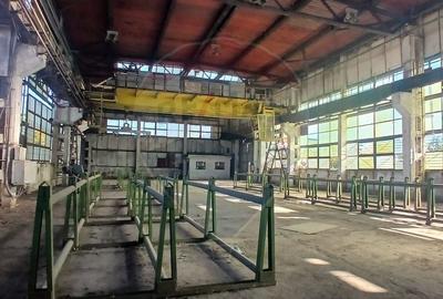 Hala de inchiriat 1000 mp utili teren pod rulant Centura Targoviste - 1
