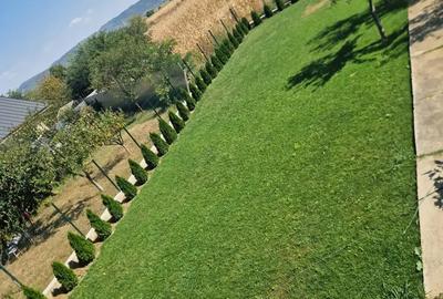 A 49 Vila LUX Letea , 320 mp utili cu 2294 mp teren intravilan - 6