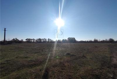 Teren agricol extravilan de 8027 mp, în Urseni - 2