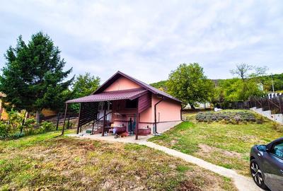 Casa , teren intravilan Valea Mare Stefanesti Arges - 15