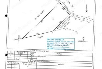 Teren de 2500 mp, în Viișoara - 2