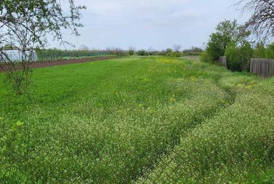 Teren de 2000 mp, în Jilavele - 2