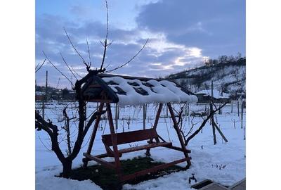 Casă rurală modernizată + 2329 mp teren, livadă și solar în Lipnița - 4