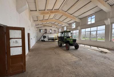 Spațiu comercial, de 600 mp, în Dumbrăveni - 6