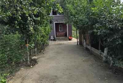 Vila Bolintin Vale - 10