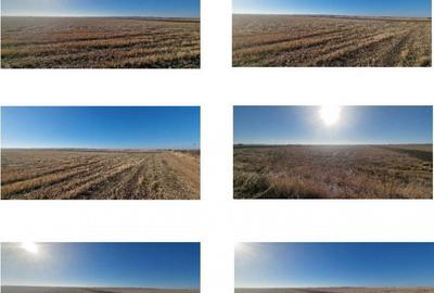 Teren Gradinari, cota 1/2. ID: R1983933 - 6