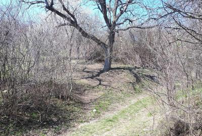 Spațiu comercial, în Cristian - 2