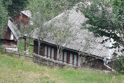 Vand casa in Bistra - 5