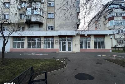 Spațiu comercial, de 231 mp, în Cantemir - 4