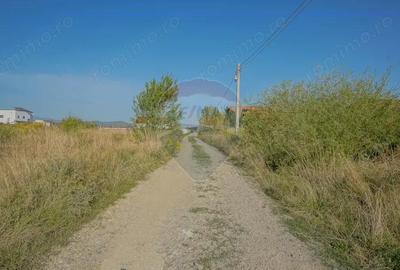 Teren de 1000 mp, în Cristian - 2