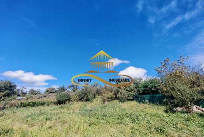 Casă individuală cu 4 camere cu Teren 1700 Mp în Grigoreni - 6