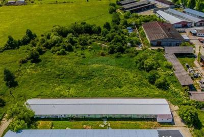 Teren de 9335 mp, în Teliu - 3