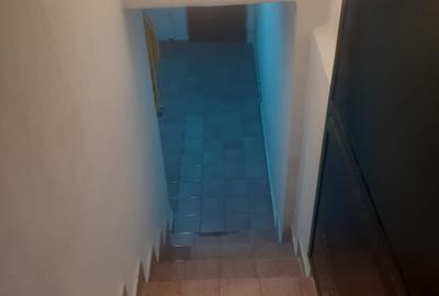 Decebal.Dristorului,vila cu 3 cam,subsol parter,et.1+mansarda,centrala,mobilata - 11