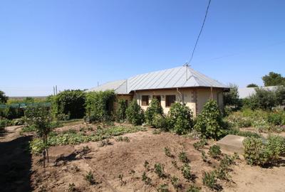 Vand casa renovata sat.Vasile Alecsandri -69.000 euro - 2