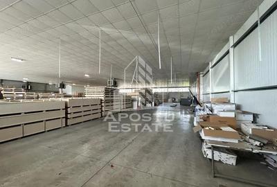 Spațiu comercial, de 1,400 mp, în Lugojului