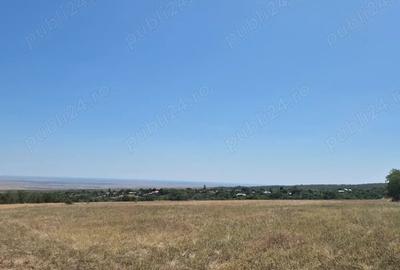 Teren în Grebănu - 9