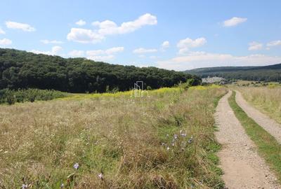 Teren De Vanzare, 3500 mp, Livezeni