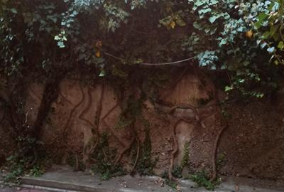 Drumul Sarii - Razoare - 19