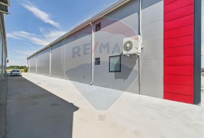 Spațiu industrial, de 580 mp, în Chiajna - 10