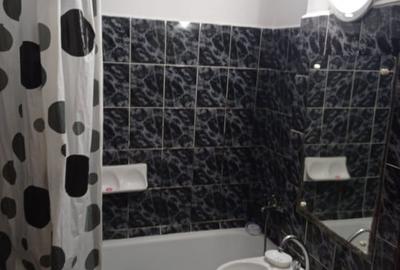 Apartament doua camere- Zona Euromaterna - 9