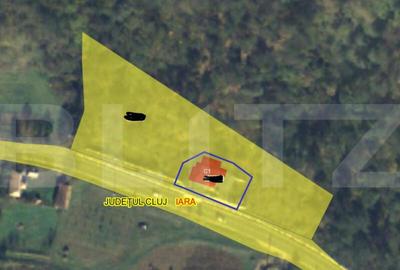 Casa individuala la rosu, 247 mp, teren 5000 mp in Surduc - 1