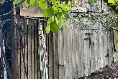 Galbinasi Giurgiu, casa vanzare - 7