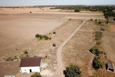 Teren de 1000 mp, în Sinești - 3