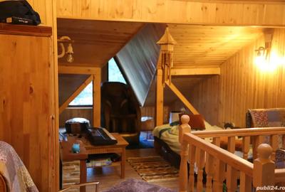 4 camere in Busteni la racoarea padurii