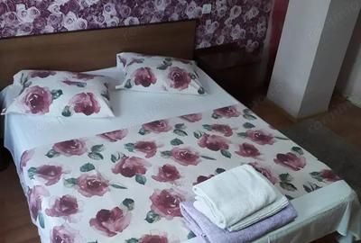 Vanzare garsoniera in zona Rond Alba Iulia - 3